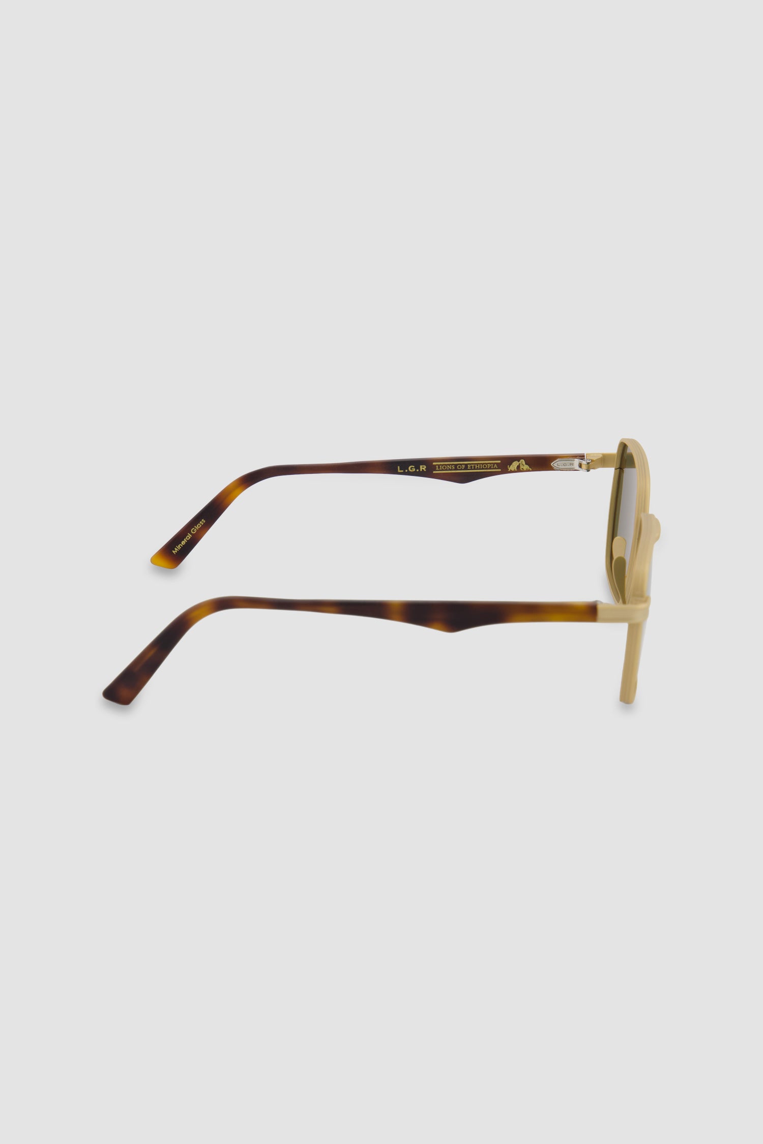 L.G.R Gold Matt/Havana Maculato/Green 54' Afar Sunglasses