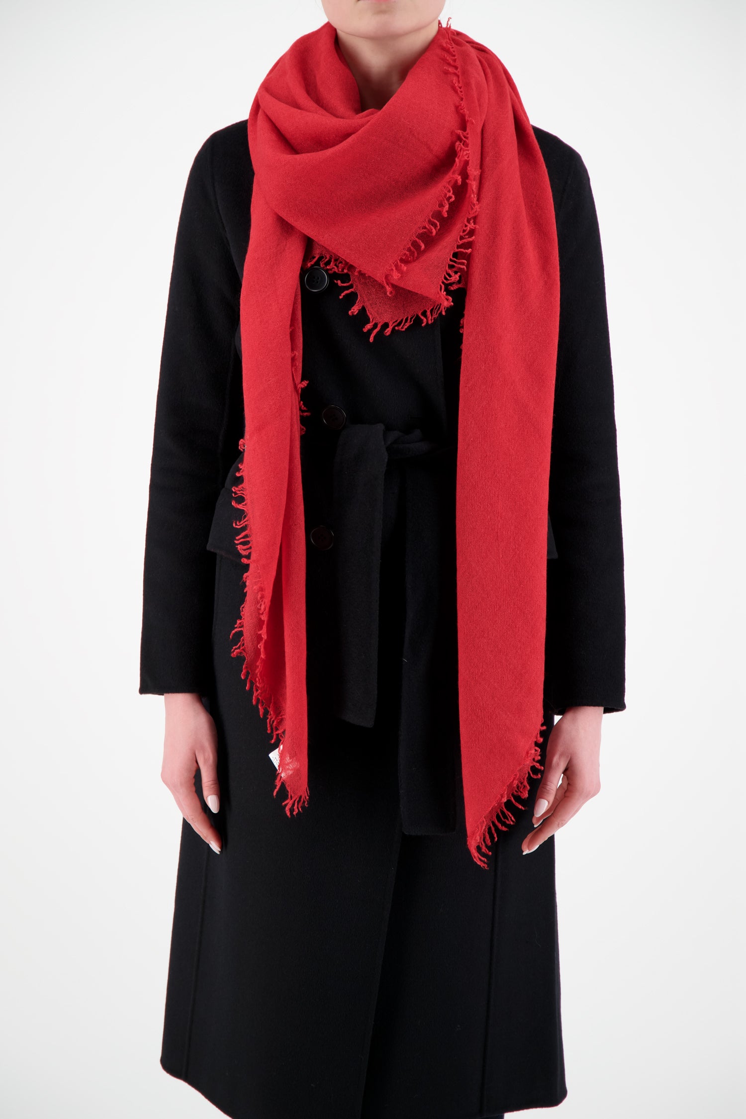 Faliero Sarti Raspberry New Enrica