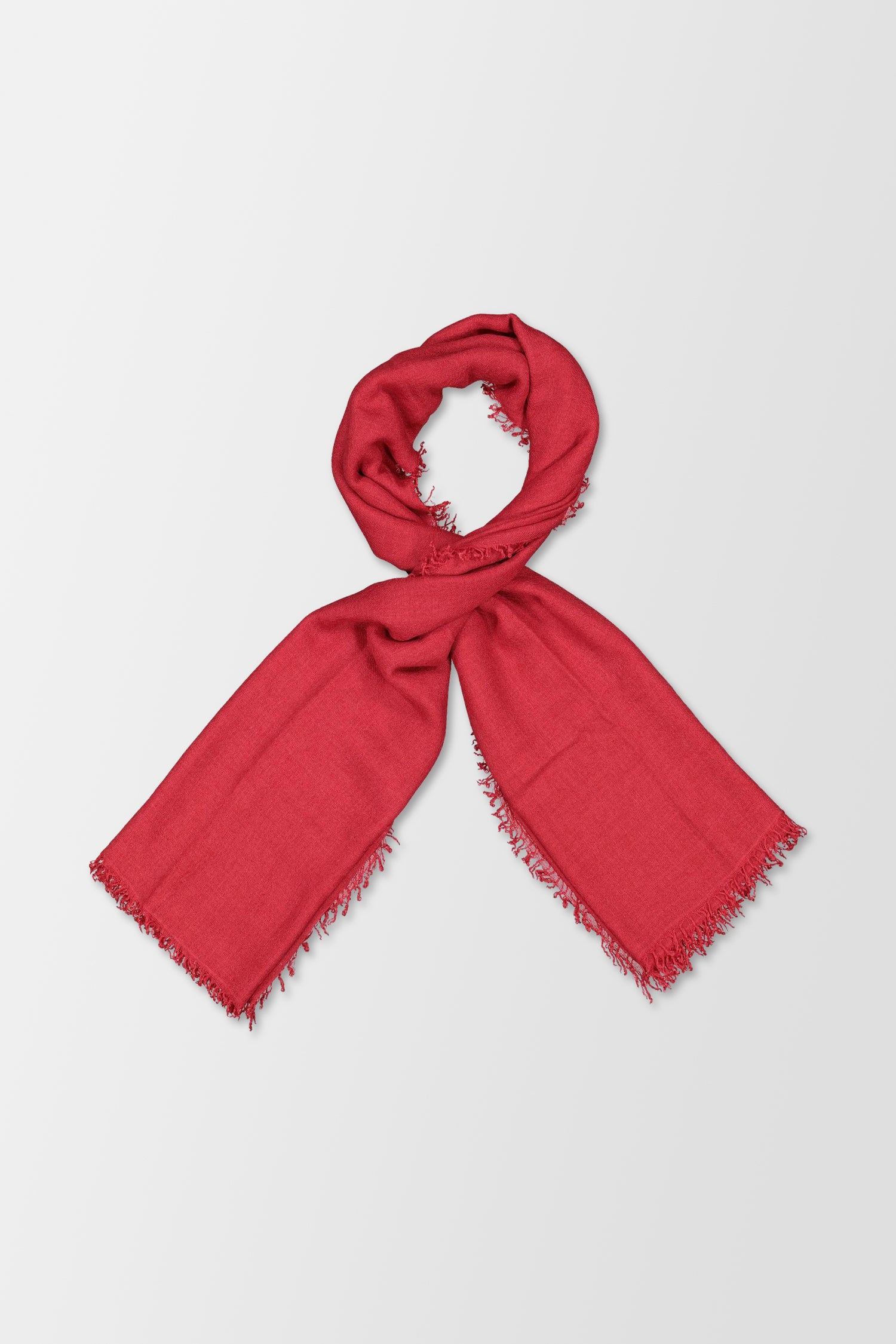 Faliero Sarti Raspberry New Enrica