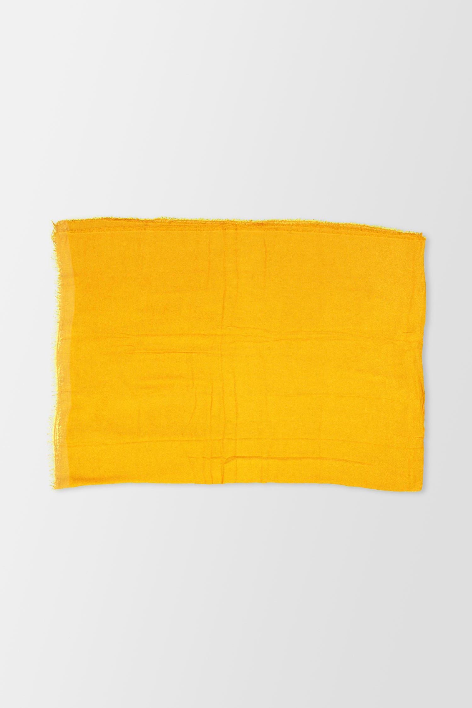 Faliero Sarti Yellow Rugy