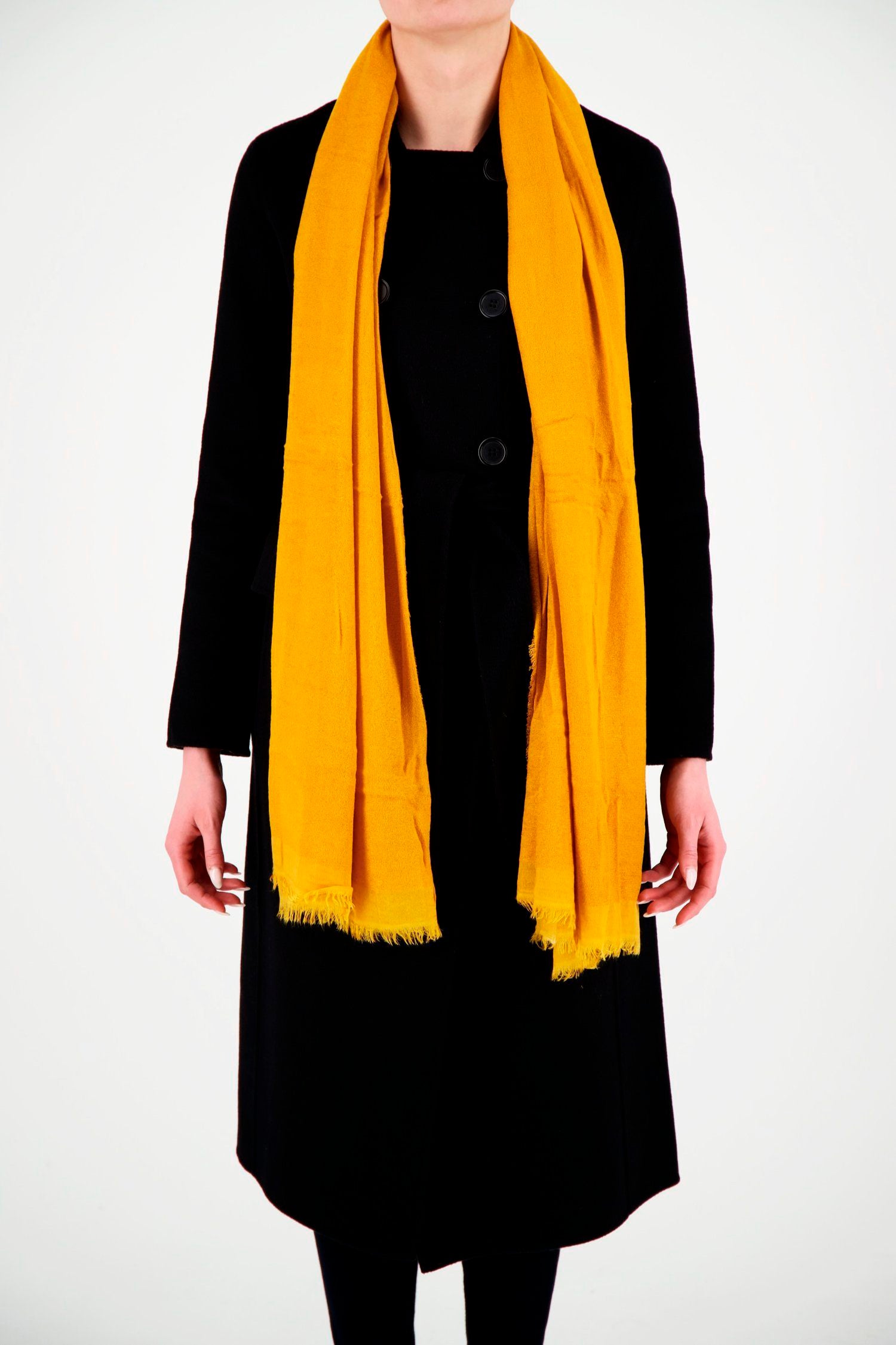 Faliero Sarti Yellow Rugy