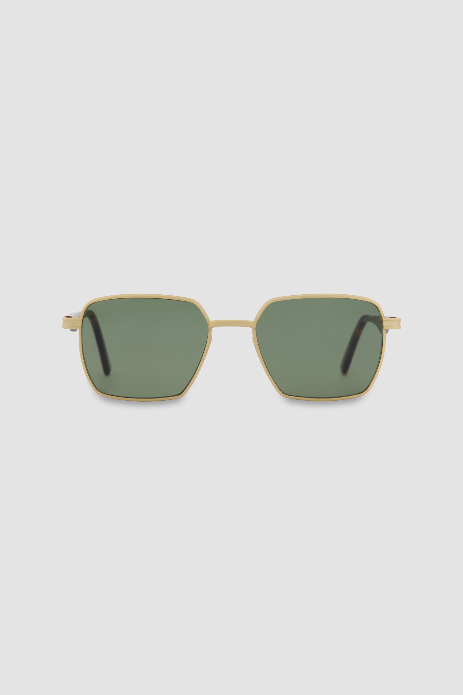 L.G.R Gold Matt/Havana Maculato/Green 54' Afar Sunglasses