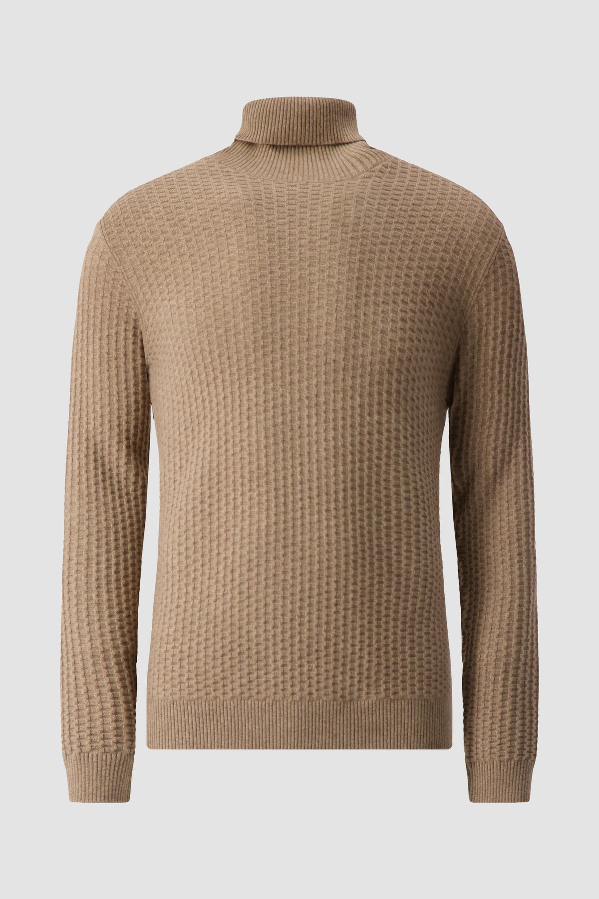 Pashmere Beige Baby Cashmere Turtle Neck Sweater